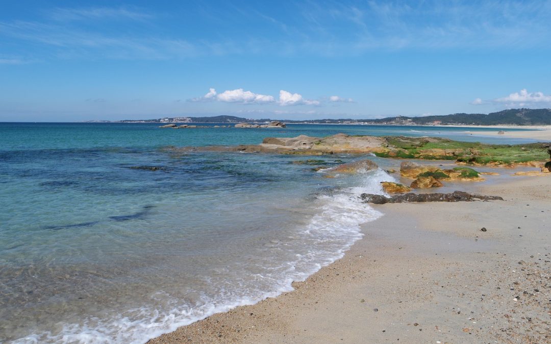 Qué ver en una excursión a las Rías Baixas: Paisajes y mariscos