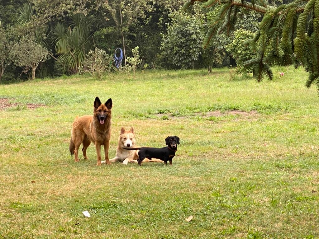 foto 17